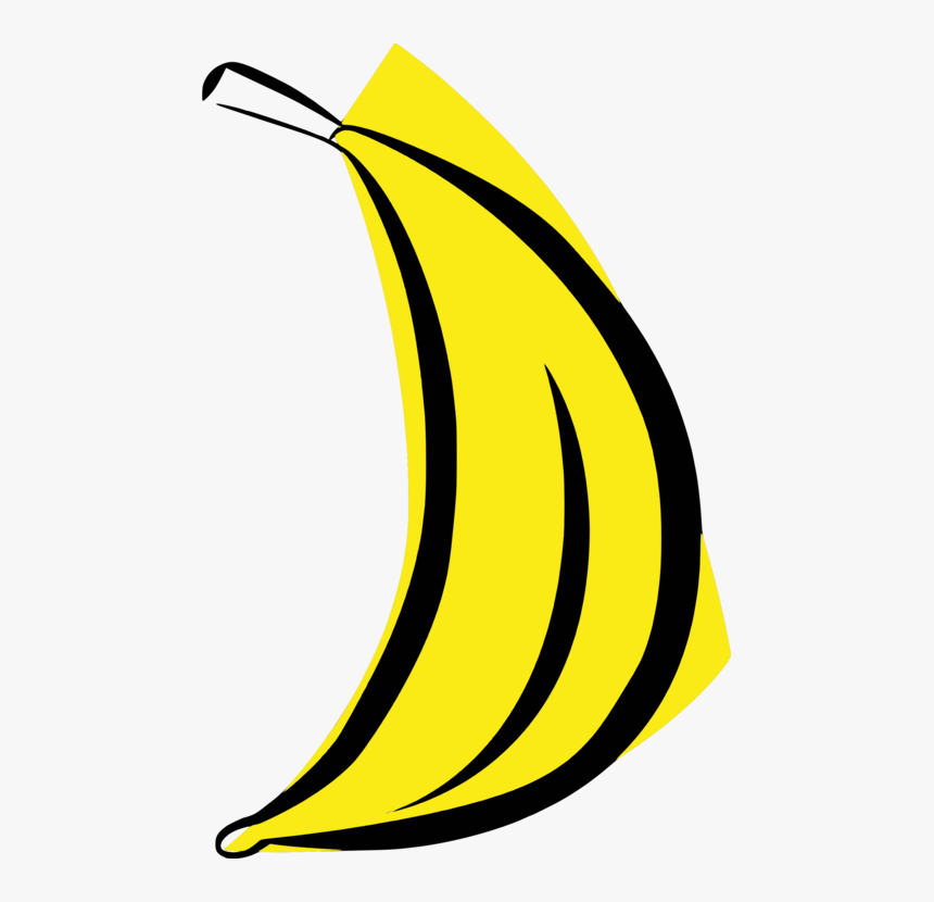 Plant,leaf,area, HD Png Download