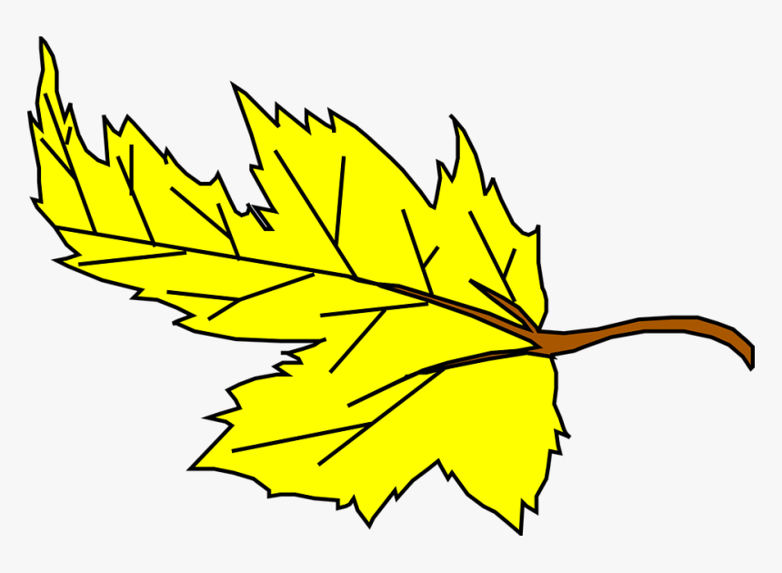 Leaf, Maple, Yellow, Fall, Autumn, Nature, Season, HD Png Download