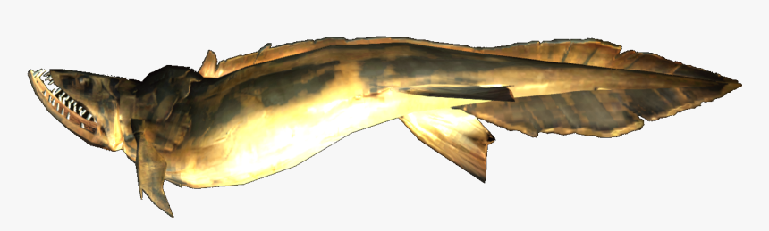 Group Of Fish Png, Transparent Png