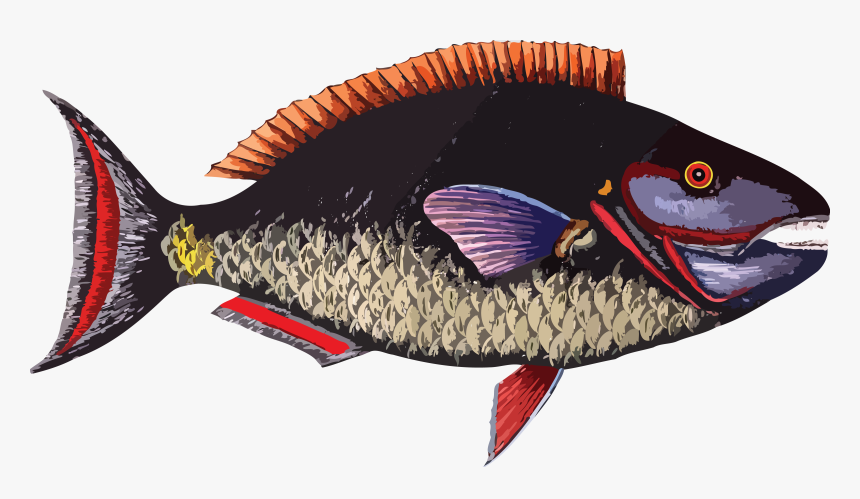 Coral Clipart Fish Group, HD Png Download