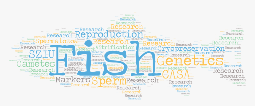Fish Reproduction Group, HD Png Download