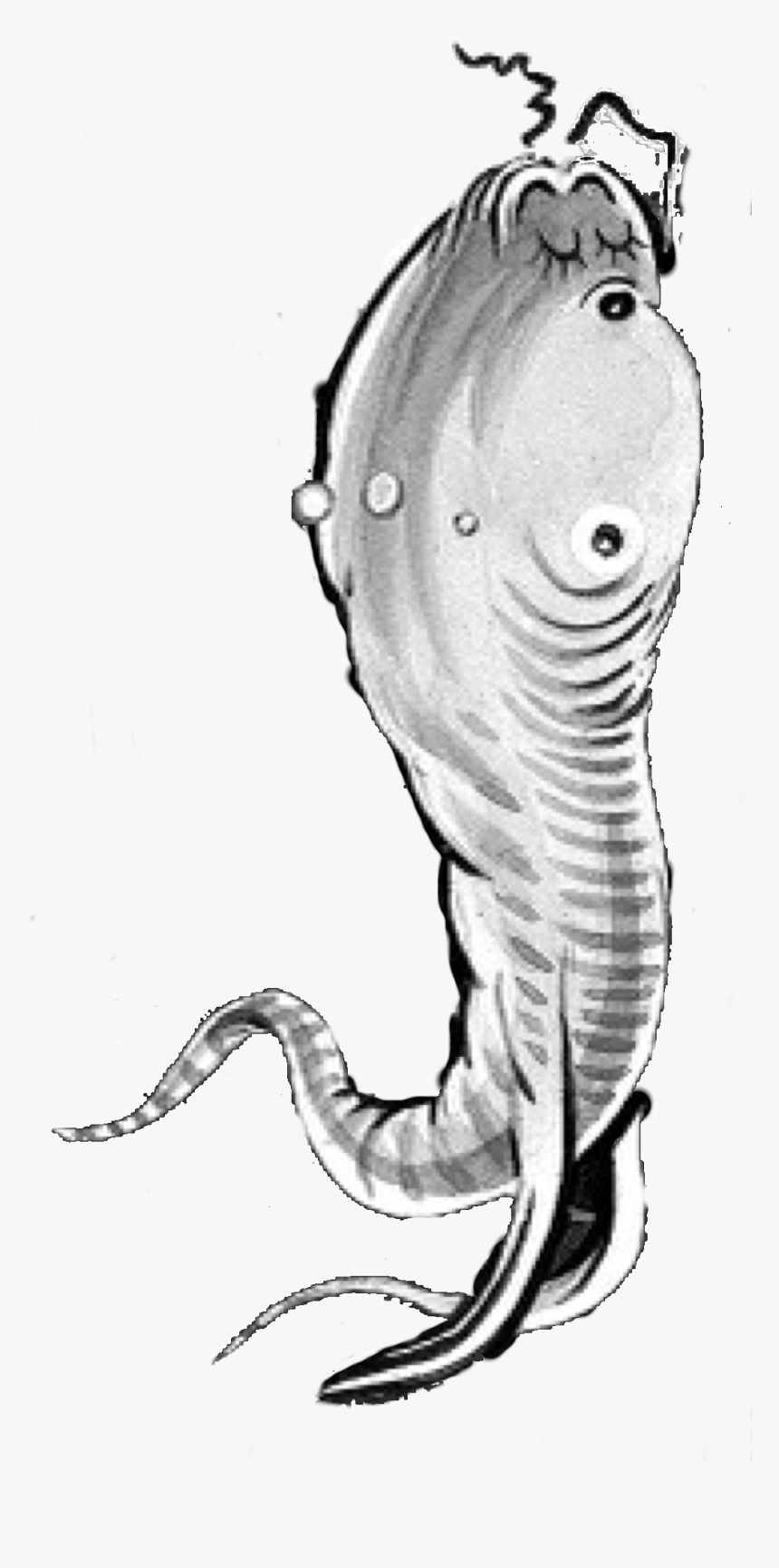 Seuss Wiki, HD Png Download