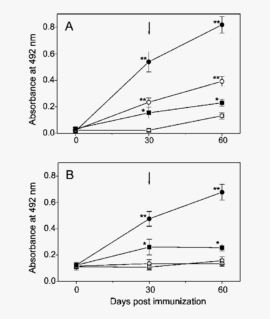 Fish Group Png, Transparent Png