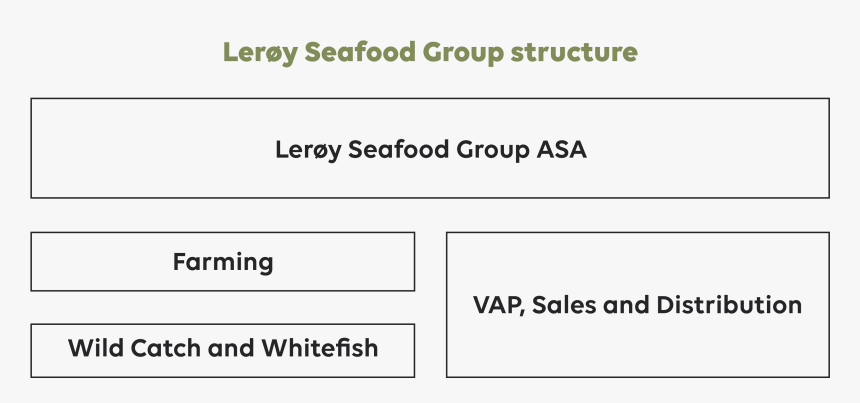 Fish Group Png, Transparent Png