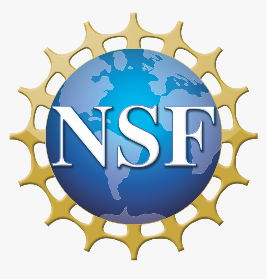 Gulmohar Tree Png, Transparent Png