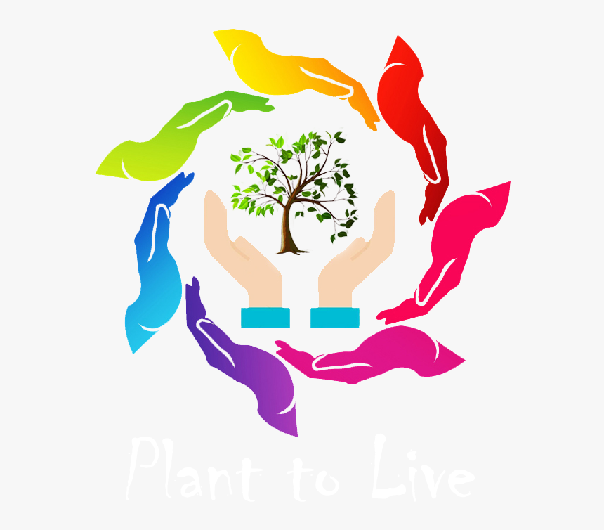 Gulmohar Tree Png, Transparent Png