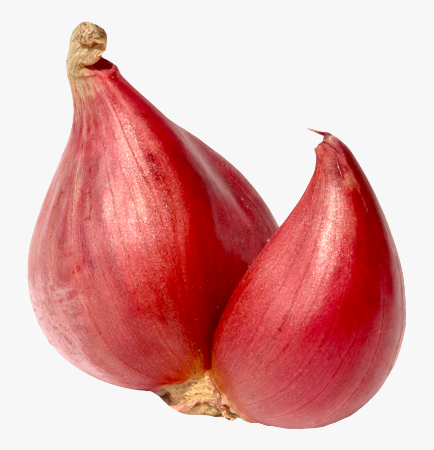 Transparent Onions Clipart, HD Png Download