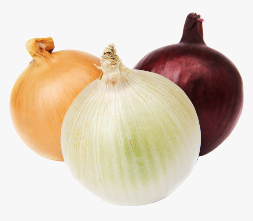 Onion.png, Transparent Png
