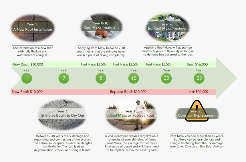 Roi Png, Transparent Png