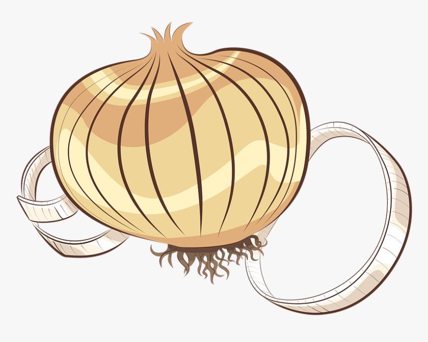 Onion Clipart Onion Vegetable, HD Png Download