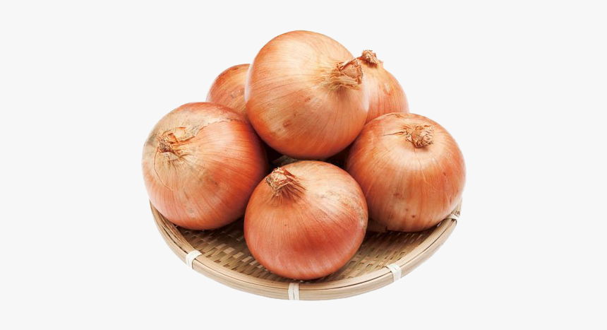 Onion Png Download Image, Transparent Png
