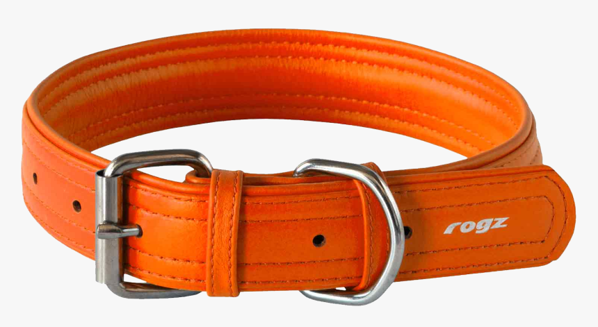 Rogi Dog Collar Orange Belt Pictures, HD Png Download