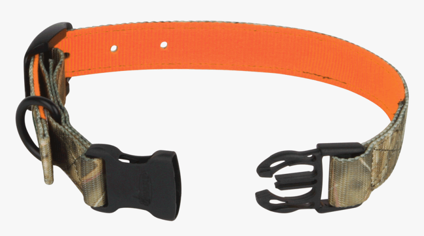 01869 Reversible Dog Collar Studio, HD Png Download