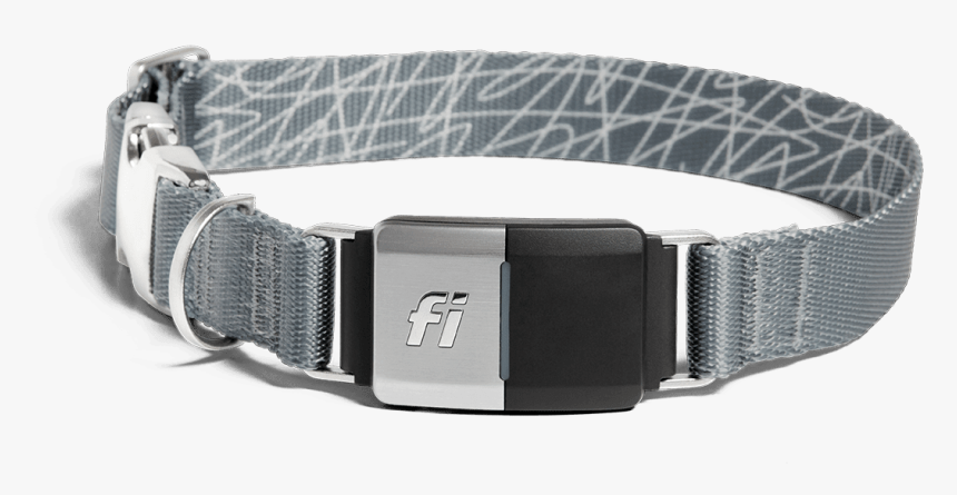 Dog Belt Png, Transparent Png