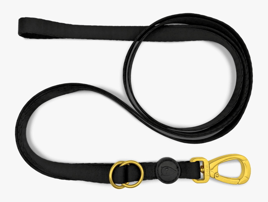Mulfitunction Dog Leash, HD Png Download