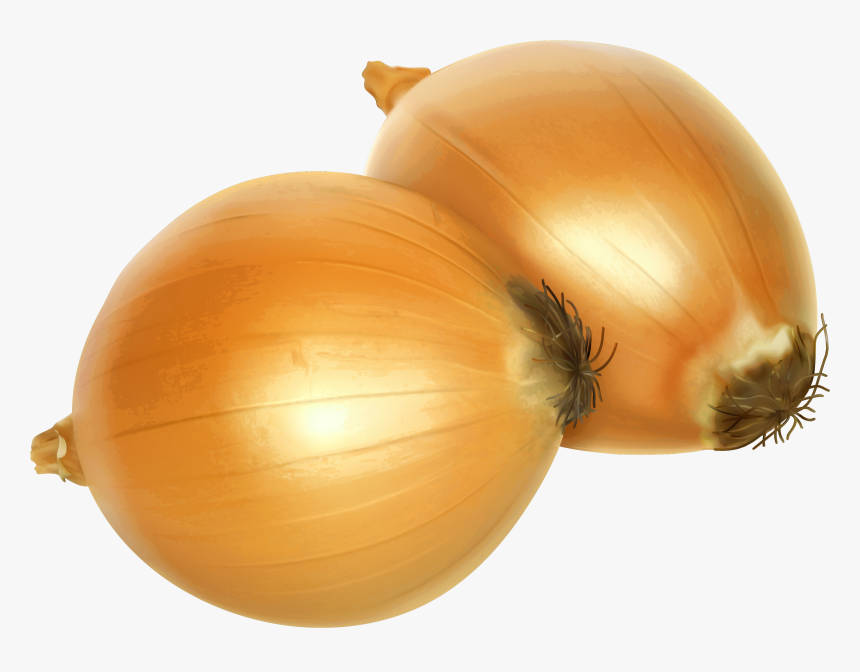 Onion Png Clipart, Transparent Png