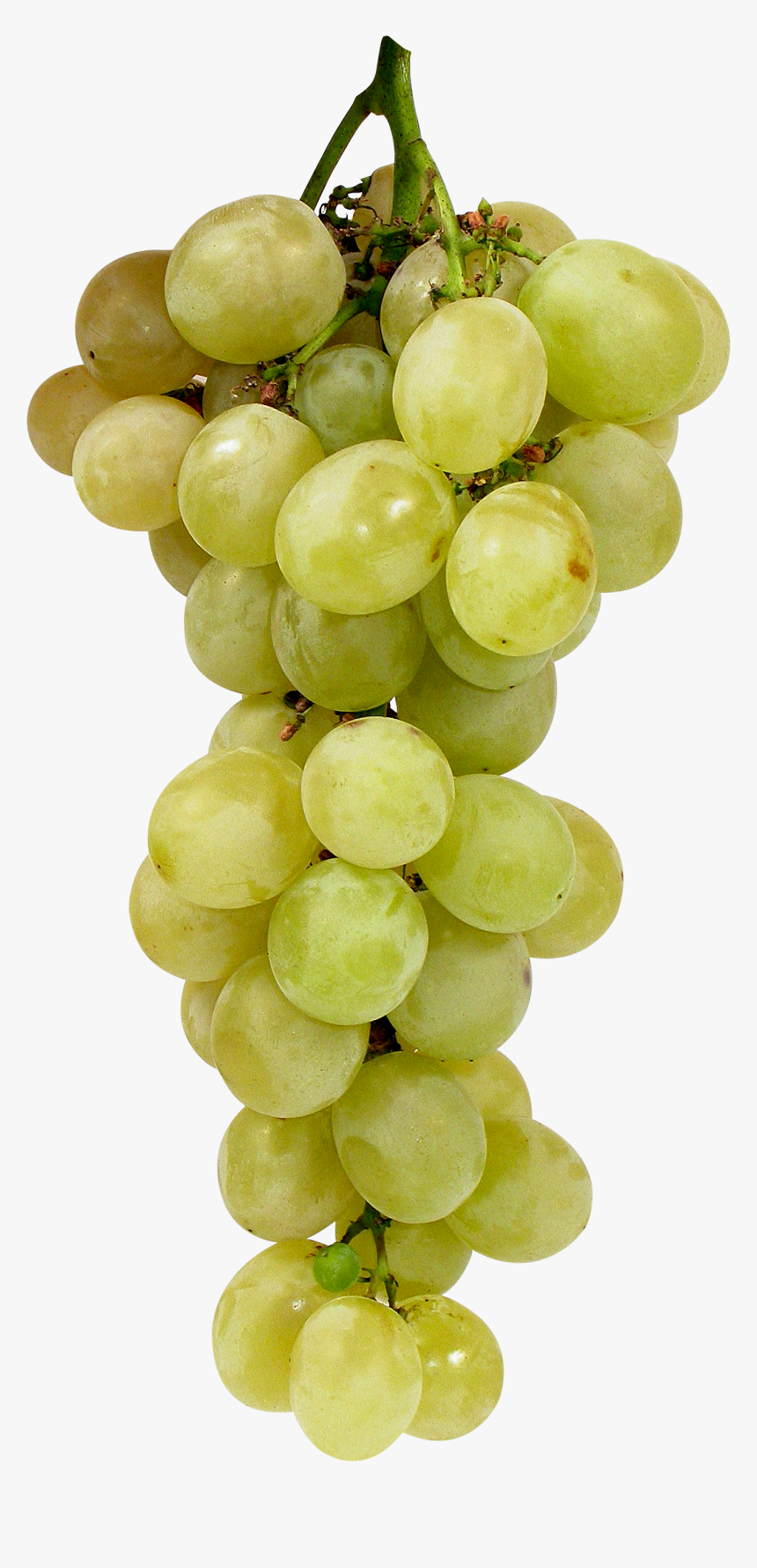 Transparent Green Grapes Clipart, HD Png Download