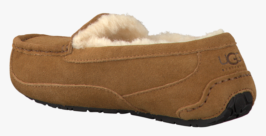 Tan, HD Png Download