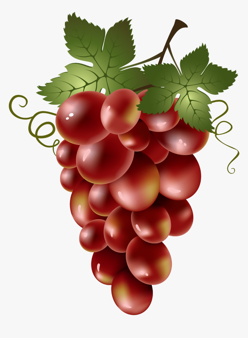 Grapes Png Images, Transparent Png