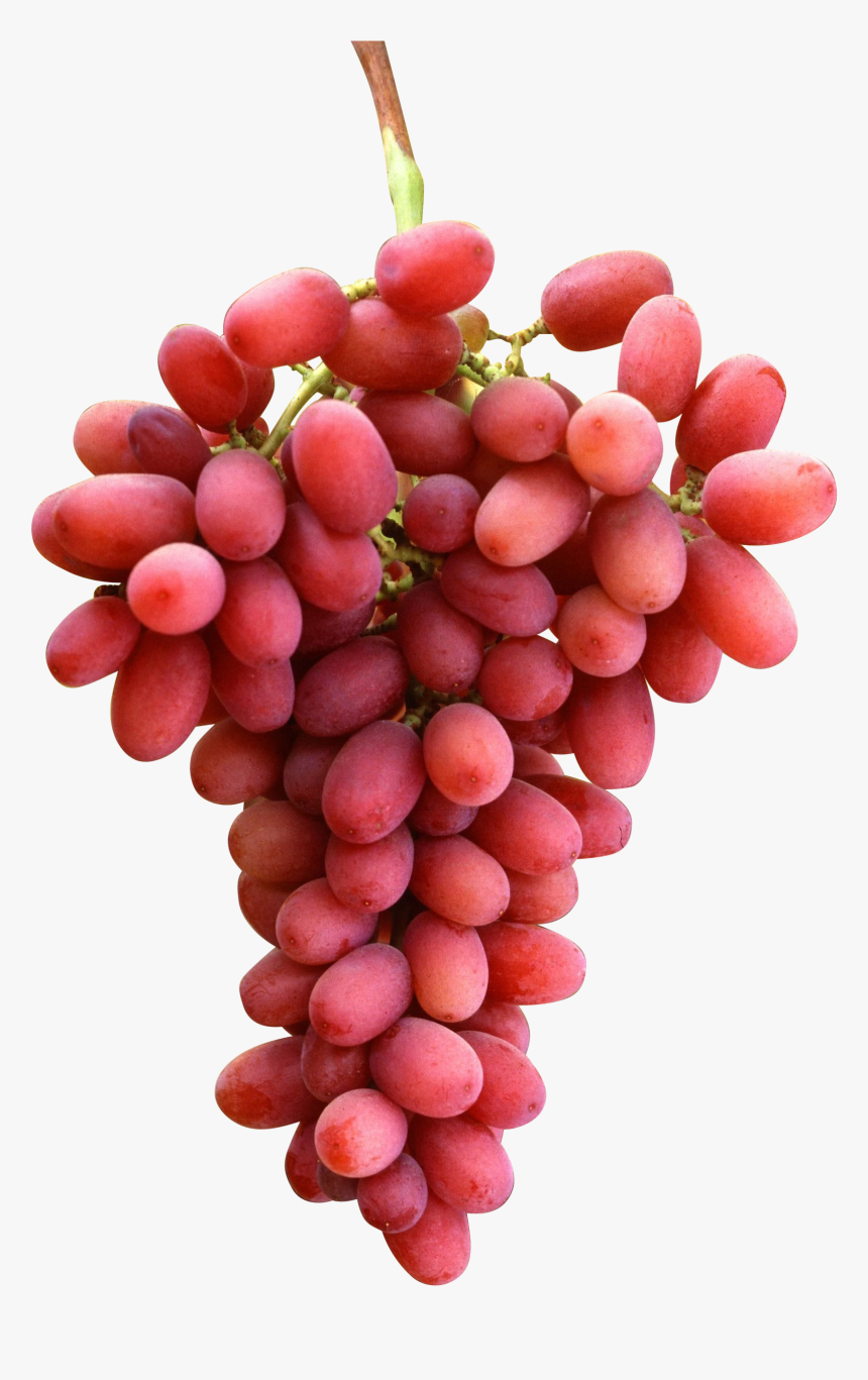 Grapes Png Images, Transparent Png