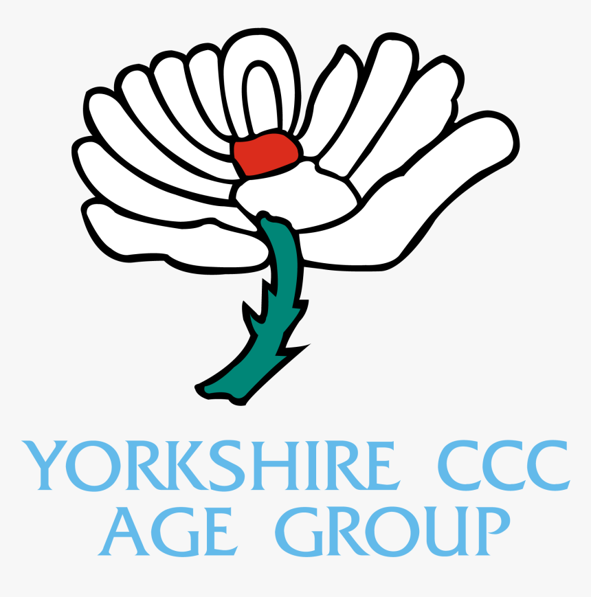 Cricket Ball Fire Png, Transparent Png