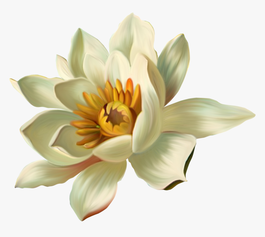 Transparent Blue Lotus Clipart, HD Png Download