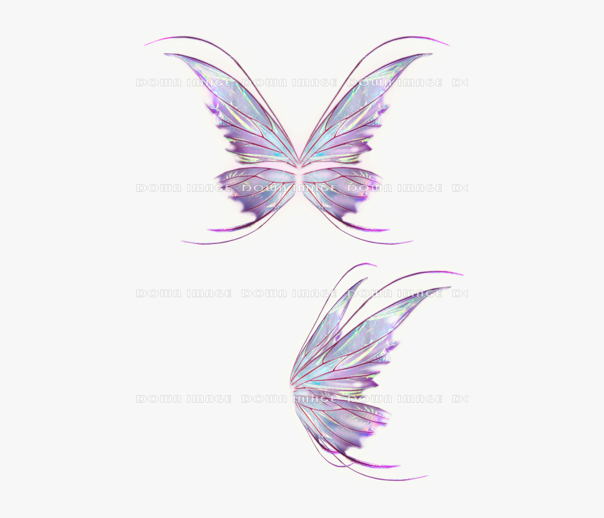 Png Images Butterflies, Transparent Png