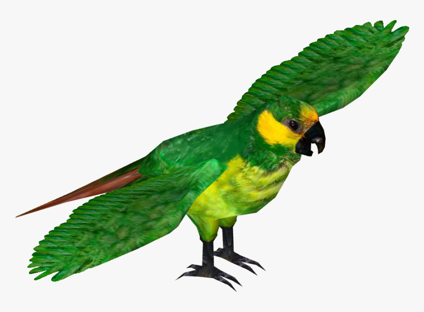 Yellow Eared Parrot , Png Download, Transparent Png
