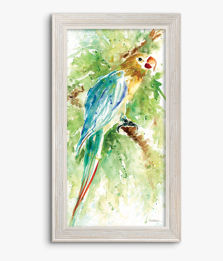 Green Parrot Png, Transparent Png