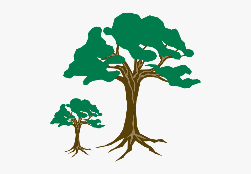 Clipart, Tree, Green, Nature, Wood, Branch, Season, HD Png Download