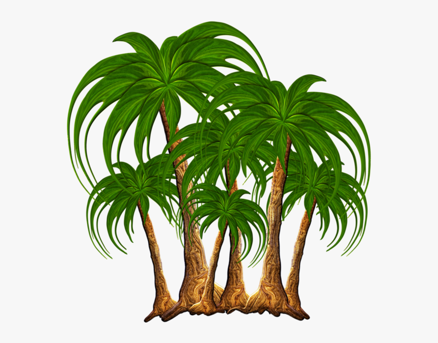 Transparent Coconut Trees Clipart, HD Png Download
