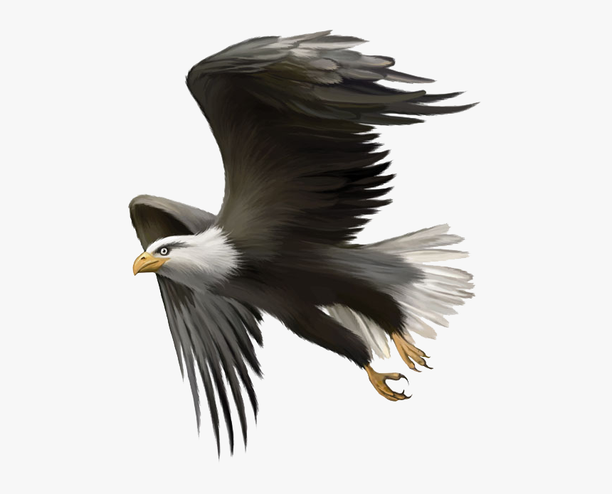 Eagle Sitting Png, Transparent Png