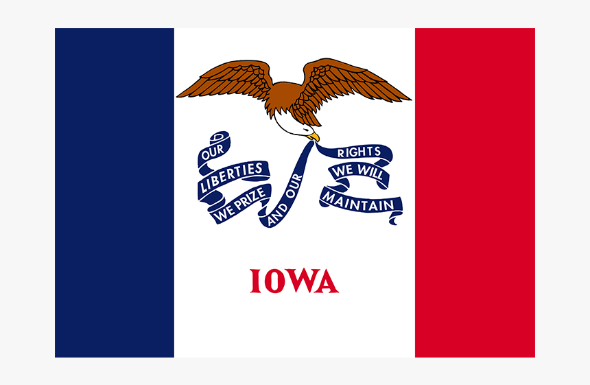 Eagle Sitting Png, Transparent Png