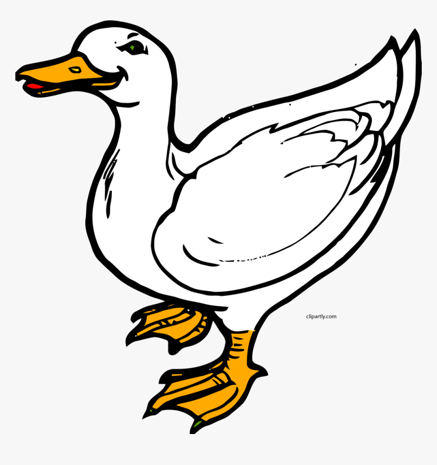 White Duck Png, Transparent Png