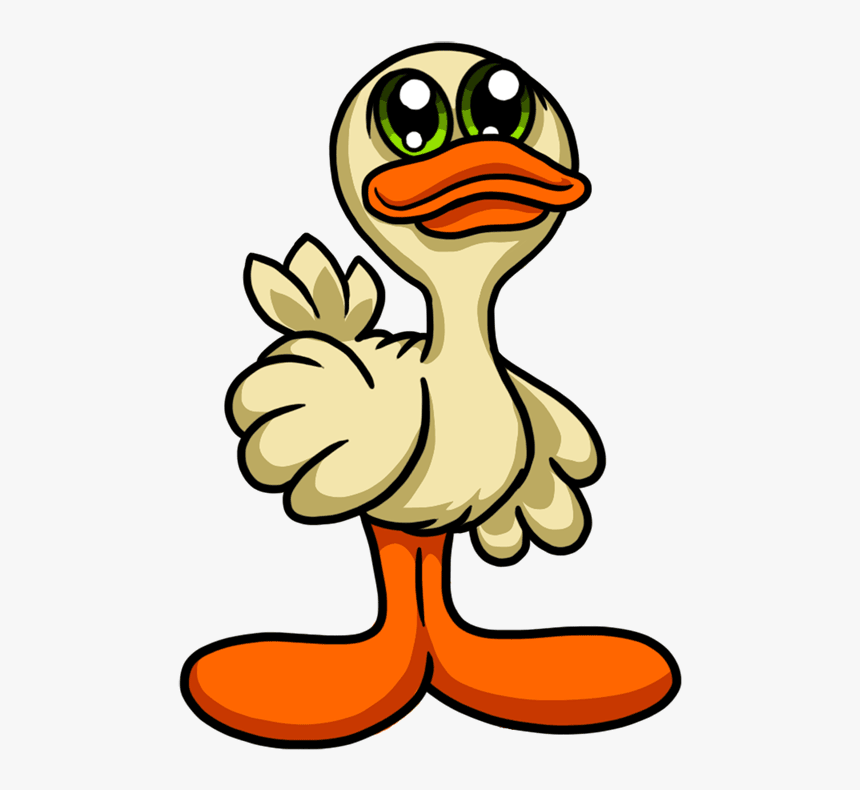 White Duck Png, Transparent Png