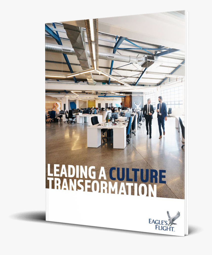 Eagle Sitting Png, Transparent Png