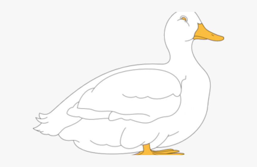 Transparent Duck Clipart Black And White, HD Png Download