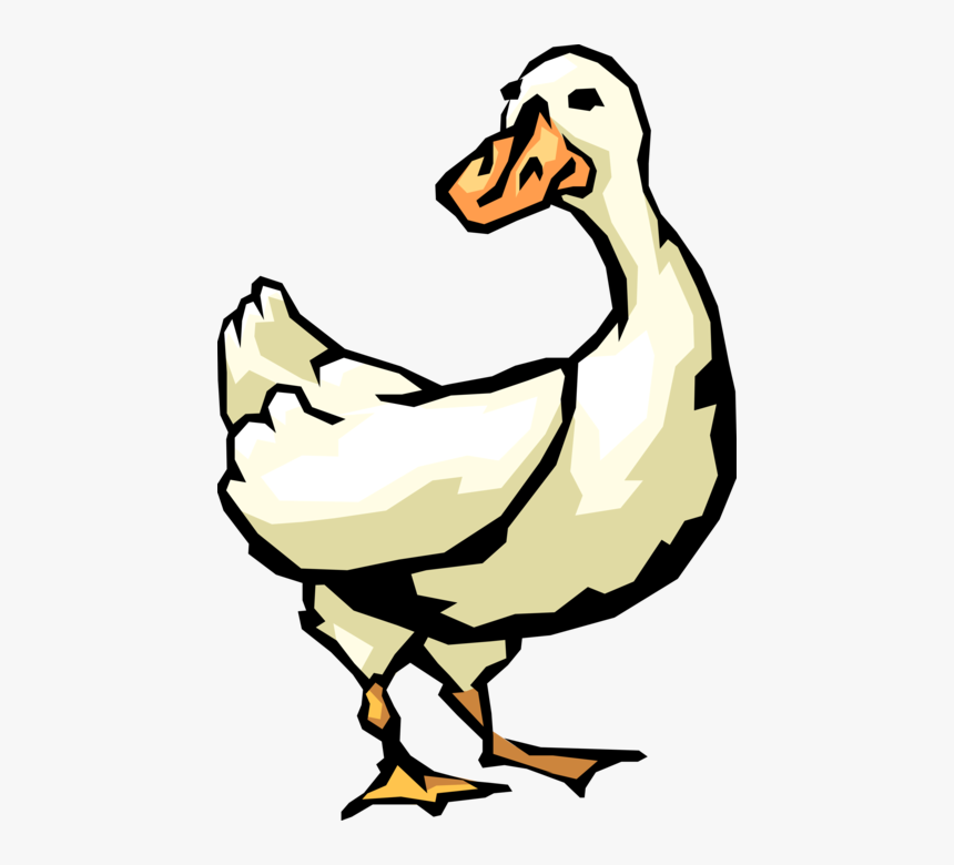 Vector Illustration Of White Waterfowl Duck Bird, HD Png Download