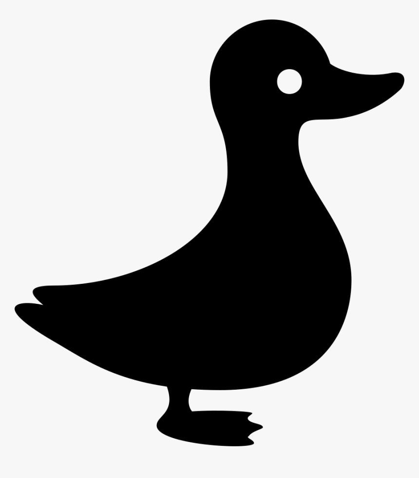 Duck, HD Png Download