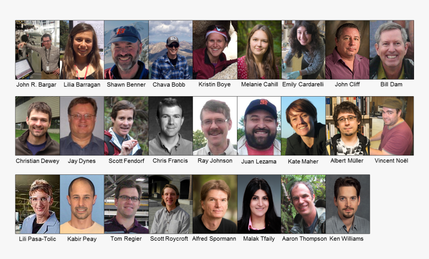 Collage , Png Download, Transparent Png