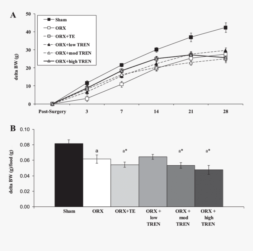 Bargar Png, Transparent Png