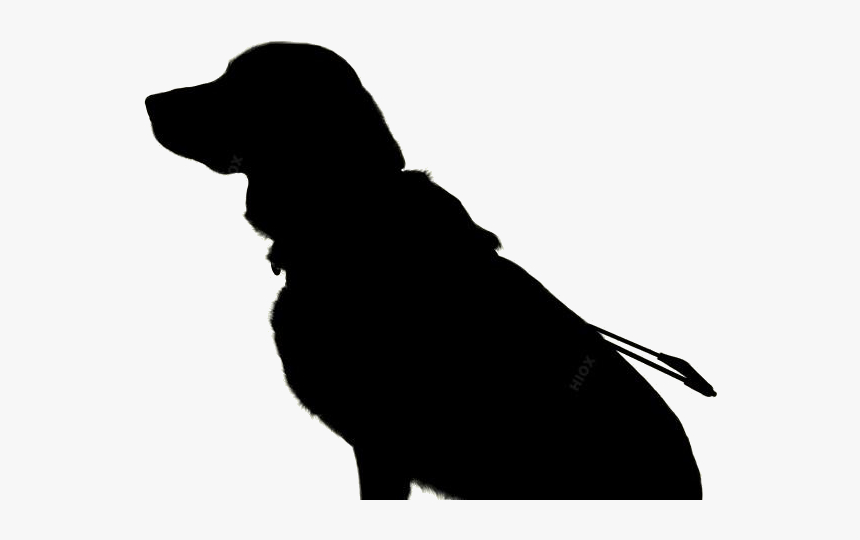 Pet Png Transparent Images, Png Download