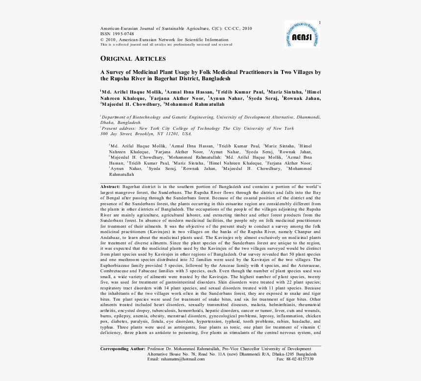 Kash Phool Png, Transparent Png