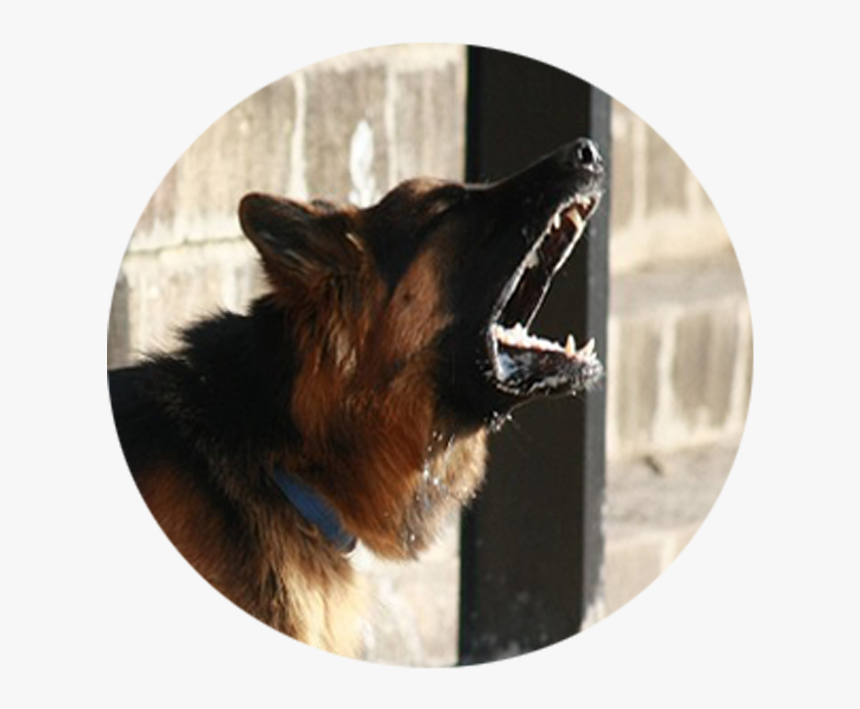 Download Hd The Quiet, HD Png Download