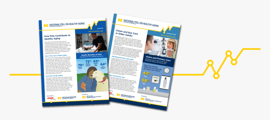 Npha-portfolio Banner Copy, HD Png Download