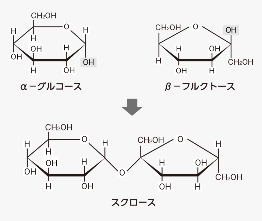 Nfkrz Png, Transparent Png