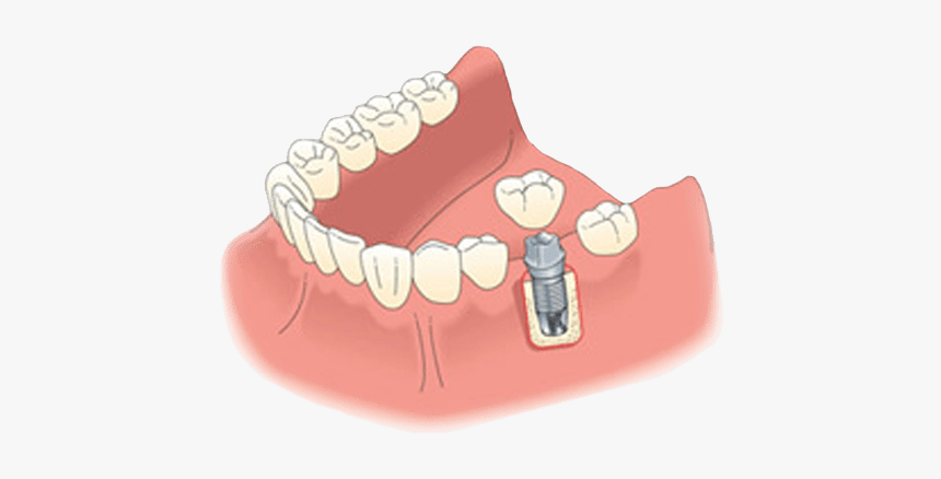 Long Tongue Png, Transparent Png