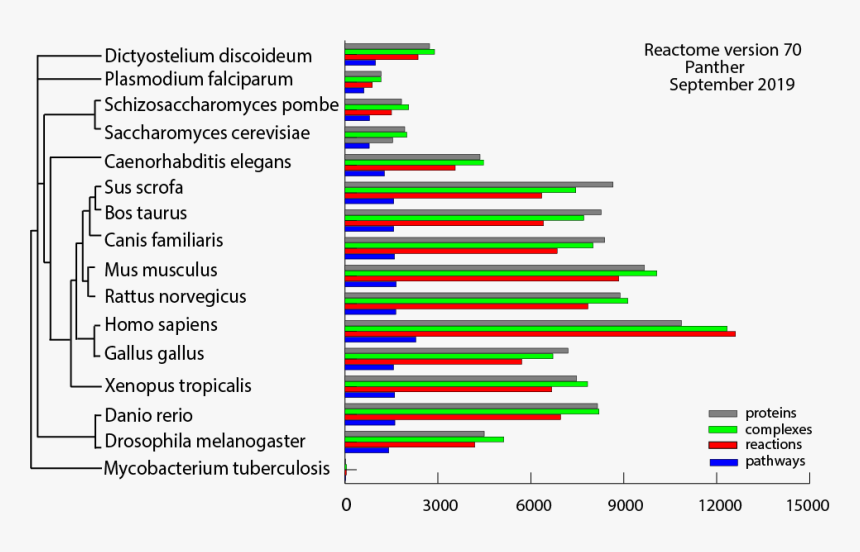 Stats V69, HD Png Download