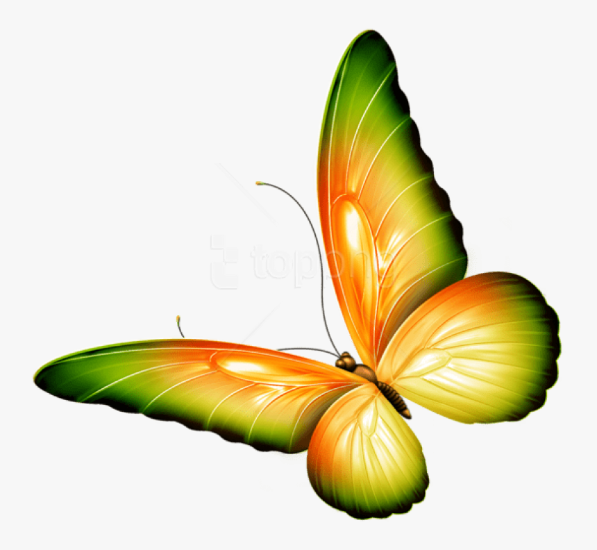 Free Png Download Yellow And Green Transparent Butterfly, Png Download