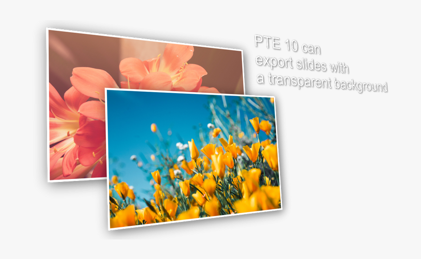 Slide1, HD Png Download